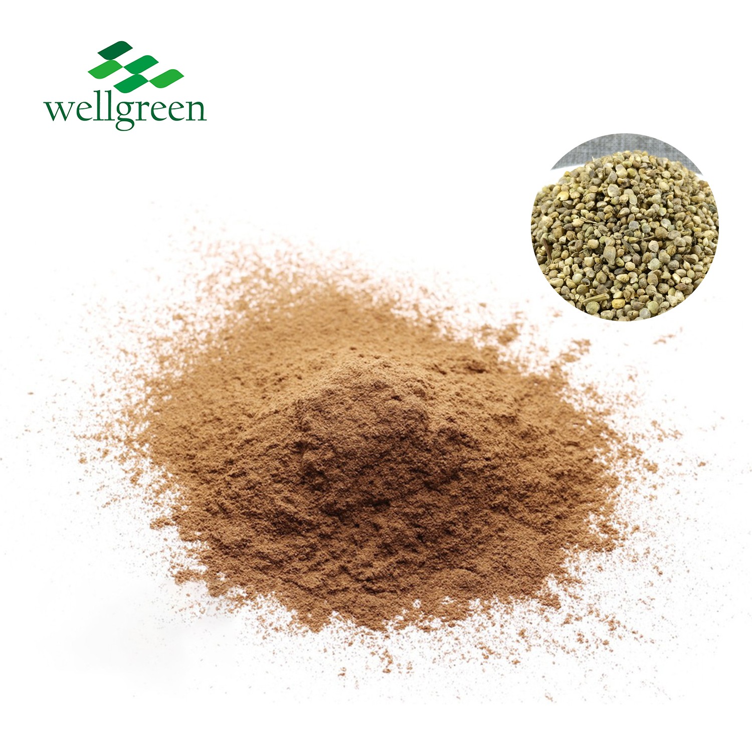 Spinach Extract Powder